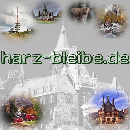 Harz-Bleibe Wernigerode Lejlighed Eksteriør billede