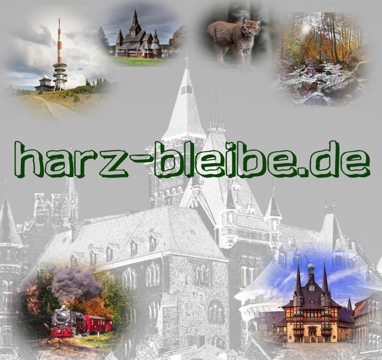 Harz-Bleibe Wernigerode Lejlighed Eksteriør billede